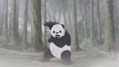 電影<大熊貓傳奇.2017>cut 下集