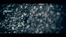 Dorothy Gale (Videoclip)