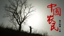 王旭 - 中國農民