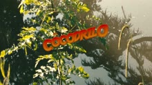 El Cocodrilo (Video Oficial)