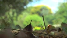 Meu Equilíbrio (Video Clipe)