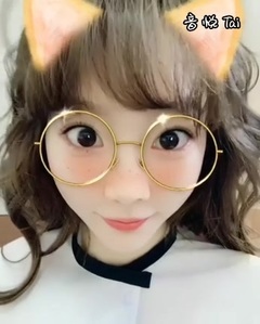 貓咪泰視頻一則