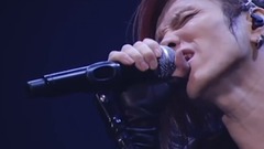優しい噓