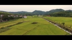 民樂群星,風景,音樂短片,輕音樂,樂動城市 - 最美是柏墊