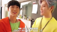 【新文化技術研究所】[N'-18]MANGO TAEYONG MELON TEN