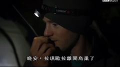 紀錄片<野性新西蘭.新移民> 第三集