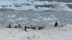 蕭瑋(麥田守望者) - 雪