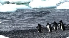 蕭瑋(麥田守望者) - 相遇