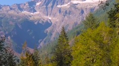 風景,影視原聲,音樂短片,輕音樂,樂動城市 - 潺潺溪流 華盛頓之秋