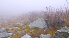 風景,音樂短片,輕音樂 - 左邊