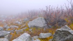 風景,影視原聲,音樂短片,輕音樂,樂動城市 - 寧靜的湖泊 華盛頓之秋