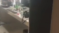 陳漫直播 胡一天 打招呼 17/12/14