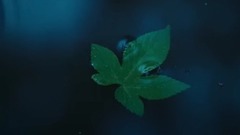 風景,音樂短片,輕音樂 - 你好,大悟
