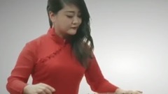 民樂群星 - 甜蜜蜜