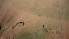 遙遠愛