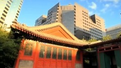 民樂群星 - 紅旗飄飄 古箏獨奏