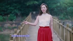 王圓圓 - 如果回到從前