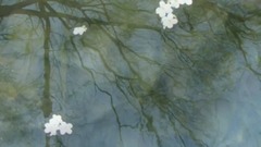 一生所愛