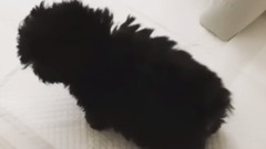 金泰妍的Zero更新第十三則