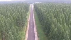 風景 - 綠色戀歌