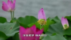 風景,音樂短片 - 荷風牡丹亭