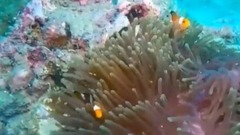 風景 - 浣紗