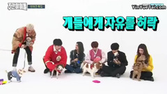 愛犬特輯 - 一周的偶像 18/01/03