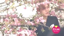 鹿晗 - 鹿晗瘋狂粉絲穿婚紗求愛