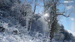 風景,音樂短片,輕音樂 - 風雪之中