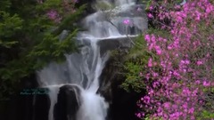 風景,音樂短片,輕音樂 - Nature et Plénitude