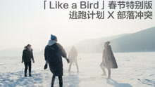 逃跑計劃 - Like?A Bird (《部落沖突》春節特別版）