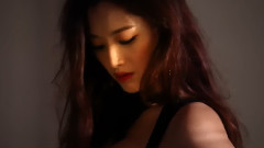 Style Film 金栽經 Cut