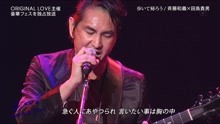 齊藤和義 - 齊藤和義 & 田島貴男 - 歩いて帰ろう - 現場