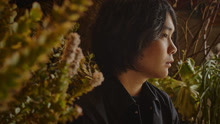  - warbear - 墓場の蝶