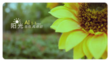  - AI1-3《陽光總在風雨后》MV