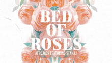 Afrojack & Stanaj - Bed Of Roses 歌詞版