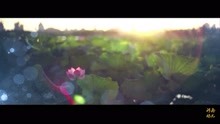  - 《香魂女》選段