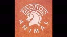 Bronco - Me Voy de Ti (Cover Audio)