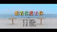  - 宋立國-想著你愛著你MTV