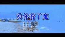  - 林秋風-愛你著了魔MTV