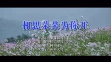  - 何小龍-相思朵朵為你開MTV