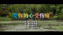  - 楊美華-愛你的心受傷痛MTV