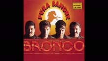 Bronco - Amor Salvaje (Cover Audio)