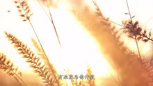 - 韓紅《青春》