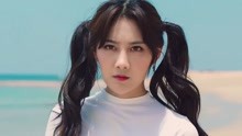  - 森林法則 MV預告片