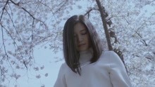 黃妃 - 畫你