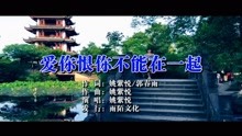  - 姚紫悅-愛你恨你不能在一起（原人原唱）MTV