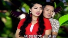  - 云南山歌《猶如枯木正逢春》民間山歌對唱，民族對山歌！