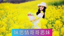  - 云南山歌：妹為情哥害相思