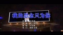  - 吳發林-我的思念只為你MTV